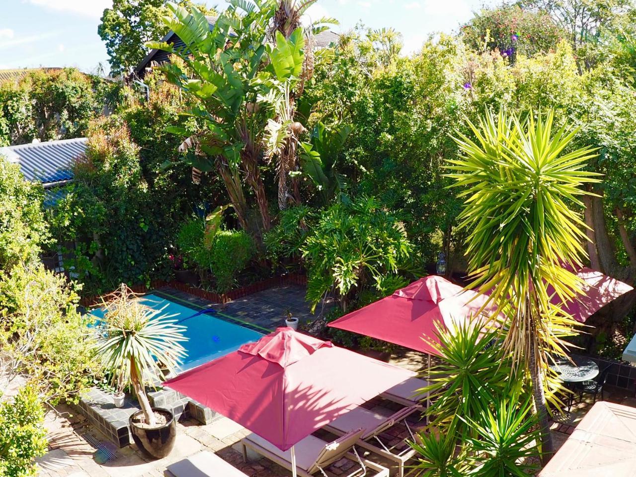 Hillview Boutique Apartments Knysna Extérieur photo